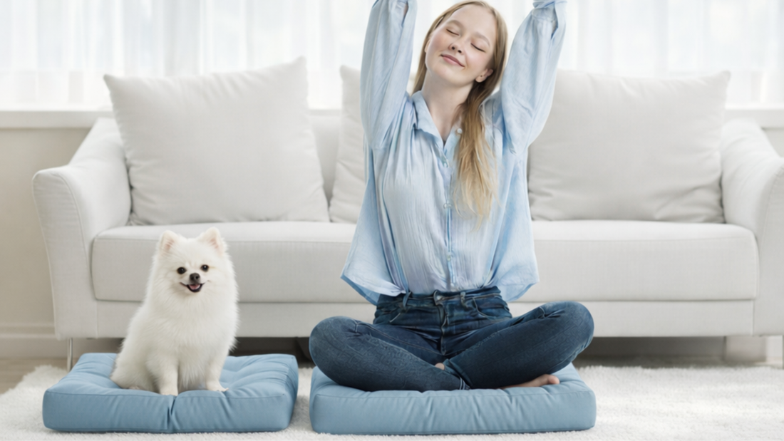 How to Wash and Care for a Floor Pillow