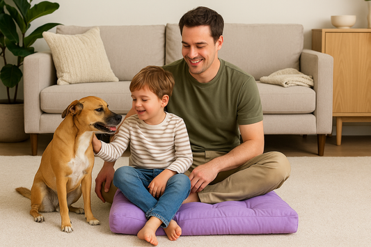 A Cozy Floor Cushion Your Dog or Cat Will Love – No Sofa Needed